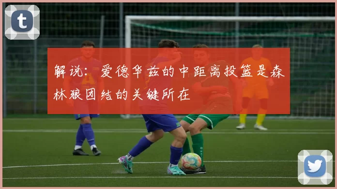 解说：爱德华兹的中距离投篮是森林狼团结的关键所在