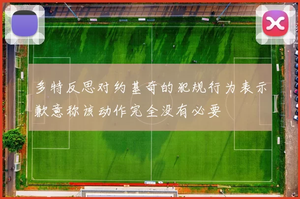 多特反思对约基奇的犯规行为表示歉意称该动作完全没有必要